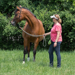 Pferd mit Reiterin/Besitzerin