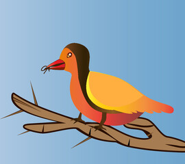 A bird eating and looking on a tree