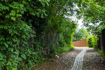 Obraz premium ルーマニア トランシルヴァニア地方のシギショアラの歴史地区の山上教会へ続くスカリイ通り