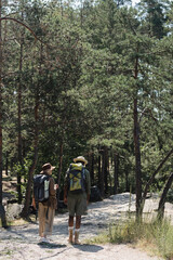 Obraz premium Elderly multiethnic couple with backpacks hiking in forest.