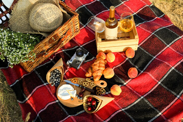 Tasty food and drink for romantic picnic outdoors