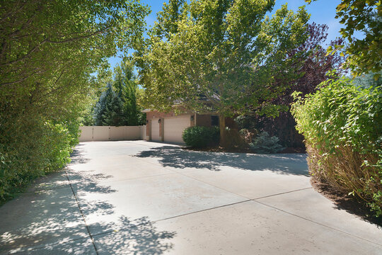Large backyard of a house with concrete driveway in the middle of trees and plants