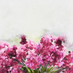 Obraz na płótnie Canvas Beautiful watercolor flowers, bouquets and plants
