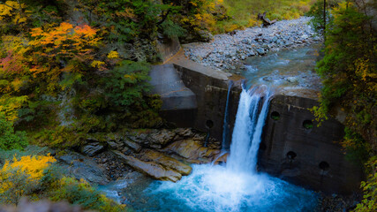 waterfall in the forest