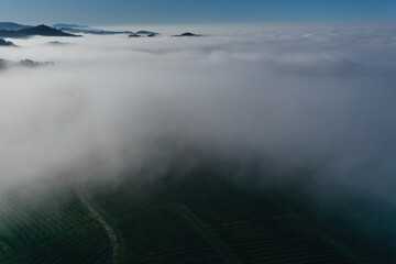 Obraz premium fog over the lake