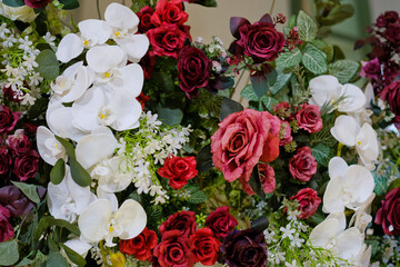 beautiful flower background, colorful nature
