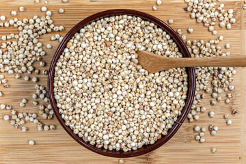 White sorghum (Sorghum bicolor) seeds on a wooden background. Photo produced in a studio
