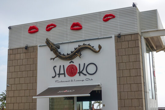 Shoko Bilder Durchsuchen 2,009 Archivfotos, und Videos