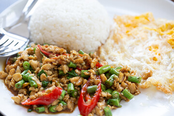 Rice topped with stir-fried pork and basil and a fried egg