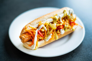 gourmet hot dog with sauce