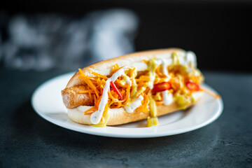 gourmet hot dog with sauce