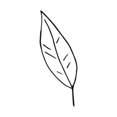 abstract leaves icon. hand drawn doodle. vector, scandinavian, nordic, minimalism, monochrome. plant, herbarium.