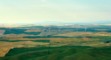 Palouse, Wheat fields , WA © willis