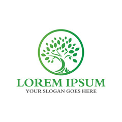 tree logo , nature logo vector