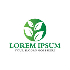 leaf logo , environment logo vector