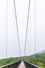 Obraz premium もやの中の那須塩原のつつじ吊橋