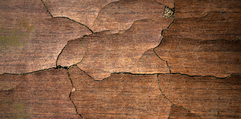 An old cracked parquet board on a wooden floor. Apartment renovation.