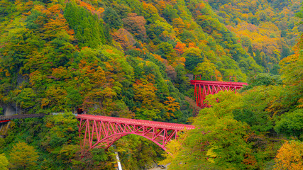 bridge in the autumn