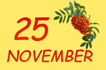 Rowan branch with red and orange berries and green leaves and date of 25 november on a yellow background.