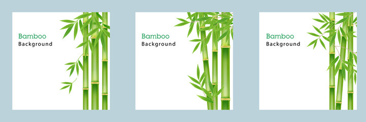Fototapeta na wymiar Set collection of realistic green bamboo tree leaf on white square background.