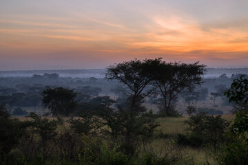Fototapeta na wymiar Sunrise, Uganda