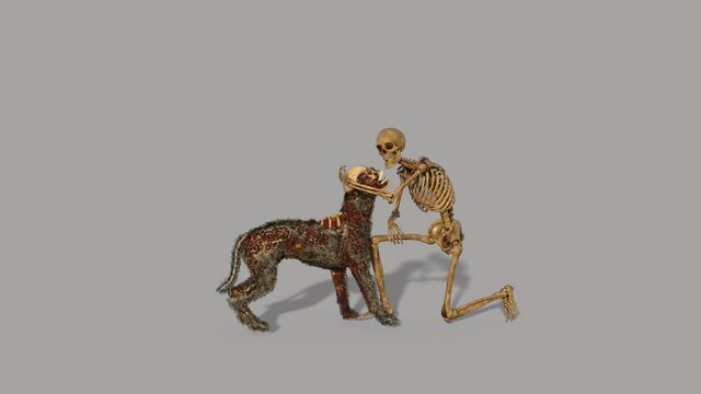 zombie dog runs to the skeleton , animation ,transparent background