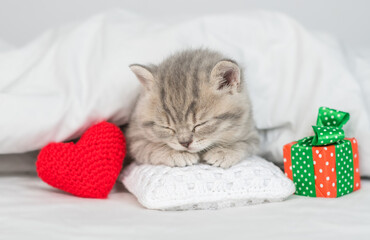 Cute kitten sleeps and hugs red heart on a bed under warm white blanket. Valentines day concept