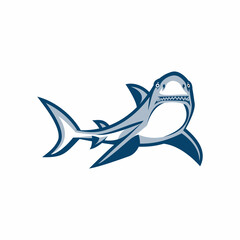Shark logo template design vector illustration