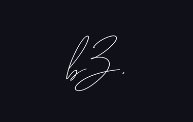 Stylish and elegant letter BZ with dark blue background signature logo for company name or initial 