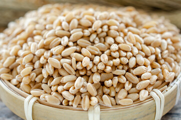 Closed up dry organic wheat seed pile in wooden basket ready for cooking or cultivation