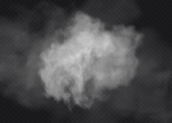 Transparent special effect stands out with fog or smoke. White cloud vector, fog or smog.