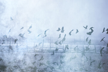 abstract blurred background, flock of black birds in flight, concept of sadness stress, autumn depression