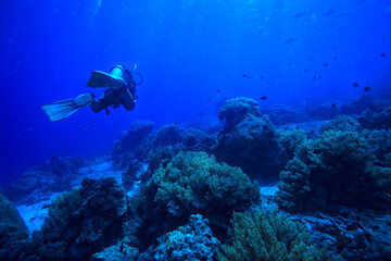 Fototapeta na wymiar diver underwater unusual view, concept depth, diving in the sea