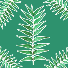 A pattern with Azadirachta indica or Neem leaves
