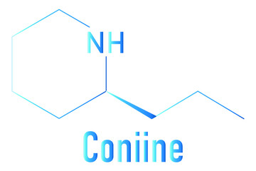 Coniine herbal toxin molecule. Present in poison hemlock (Conium maculatum). Skeletal formula.