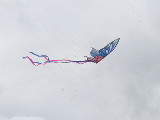 Butterfly kite in the sky