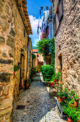 Narrow Street in Coaraze, Provence, France
