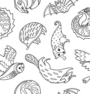 66  Nocturnal Animal Coloring Pages  Best HD