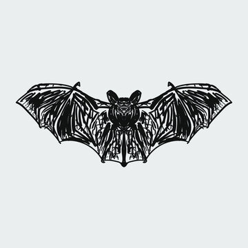 bat. drawn black and white illustration.