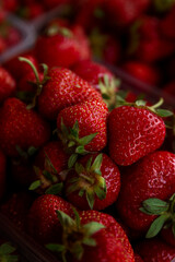 Lots of fresh strawberries. Vitamins and health from nature. Close-up. Vertical.