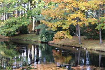 Fototapeta na wymiar Park and Pond