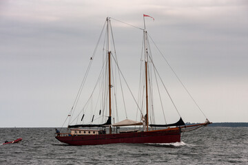 Fototapeta na wymiar Sailor at the Hanse Sail in Warnemünde