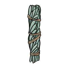 Sage smudge stick tied with thread hand-drawn doodle isolated icon. Vector stock plant leaves image. White sage herb bundle