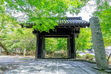 Obraz premium 夏の秋月城跡 黒門 福岡県朝倉市 Akizuki Castle Ruins in Summer Fukuoka-ken Asakura city