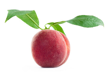 Ripe velvet peach fruit in peel with green leaves, fresh whole noctarine agricultural fruit with green with levitating leaves isolated on white background.