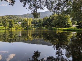 Obraz premium reflection of trees in the lake