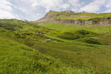 Prairies, alpages et falaises en montagne