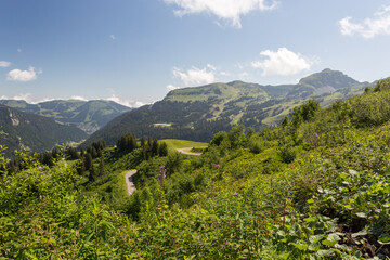 Fototapeta premium Vue vers Châtel