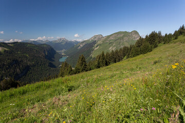 Fototapeta premium Vue sur le lac de Montriond
