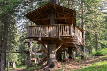 Cabanes dans les arbres